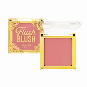 AMORUS USA Flush Powder Blush | Peach