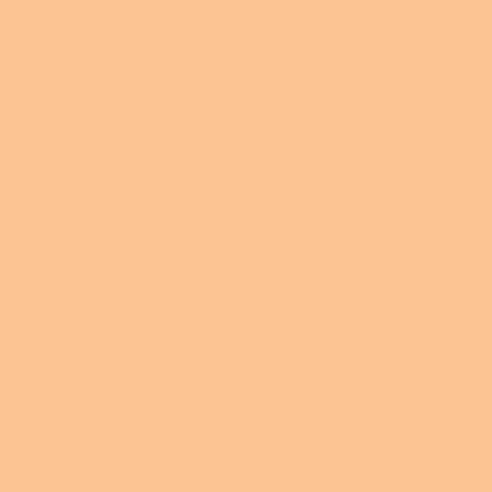 Blush Makeup Cosmetics High Definition Liquid Foundation