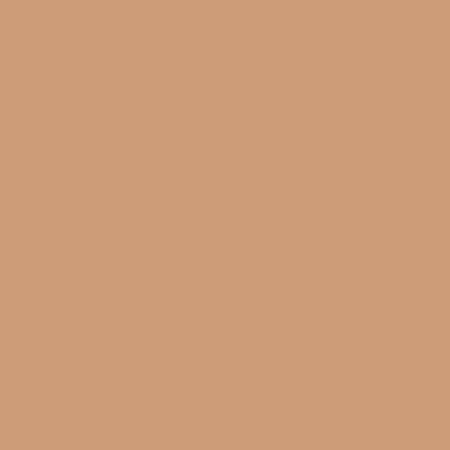 Blush Makeup Cosmetics High Definition Liquid Foundation