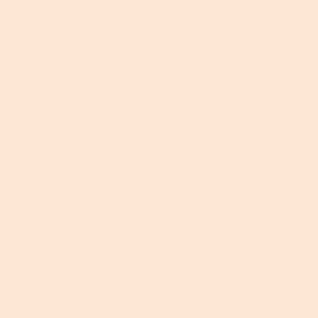 Blush Makeup Cosmetics High Definition Liquid Foundation