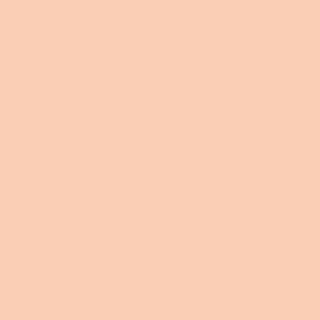 Blush Makeup Cosmetics High Definition Liquid Foundation
