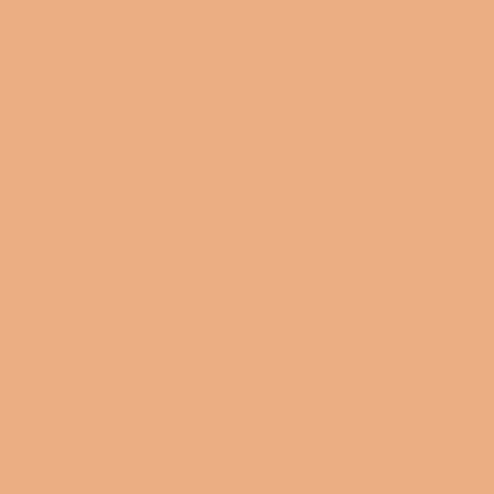 Blush Makeup Cosmetics High Definition Liquid Foundation