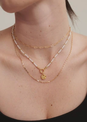 Jamie Freshwater Pearl 18K Gold Plated Necklace