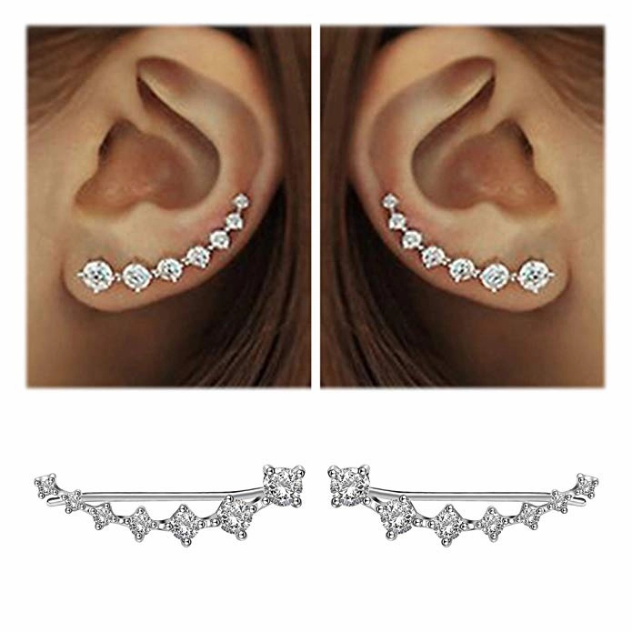 Lustre | Shiny Silver Earrings