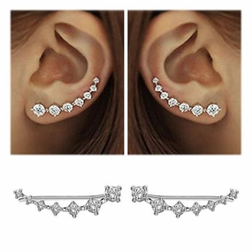 Lustre | Shiny Silver Earrings